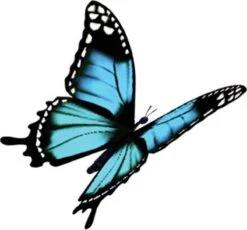 Robijn Klein & Krachtig Wasmiddel Black Velvet 1,19 Liter -Thuis Wassen 1200x1118 2