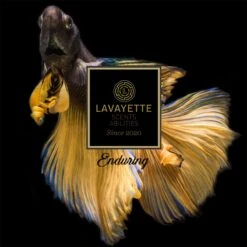 Lavayette Premium Wasparfum 2in1 - Double Fun & Jasmine Shades - Geurbooster -Thuis Wassen 1200x1200 1281
