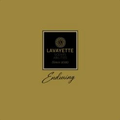Lavayette Premium Wasparfum - Jasmin Shades - Geurbooster 500ml (Diamante) 12 Lavayette Premium Wasparfum - Jasmin Shades - Geurbooster 500ml (Diamante) -Thuis Wassen 1200x1200 1288