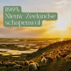 Miki's Goods® XL Wollen Drogerballen 6 Stuks - Panda Wasballen - Duurzaam - Wasbol - 100% Nieuw-Zeelandse Schapenwol - Wasbollen - Herbruikbaar- Droogballen - Snellere Droogtijd - Zuigt Dierenharen Op -Thuis Wassen 1200x1200 1517