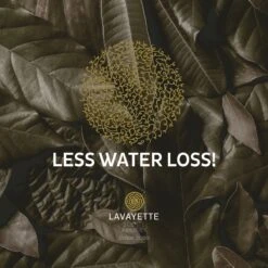 Lavayette XL Drogerballen Met 25ml Wasparfum - WasdrogerBallen – Droogballen – Wasbol – 100% Nieuw-Zeelands Schapenwol – Milieu- En Diervriendelijk – 6 Stuks -Thuis Wassen 1200x1200 1568