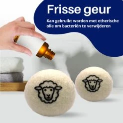 Waspakket - 6 Drogerballen - 2 Wasbollen - Maatschepje - Wasdoekje - Doseerbol - Wasbol - Doseerbollen -Thuis Wassen 1200x1200 1618