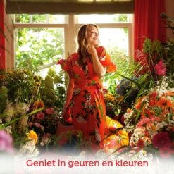 Robijn Klein & Krachtig Color Vloeibaar Wasmiddel - 8 X 20 Wasbeurten - Voordeelverpakking -Thuis Wassen 1200x1200 788