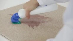 Dr. Beckmann Tapijtvlekkenborstel - Tapijtreiniging - Tapijt Vlekverwijderaar Met Borstel - Schoon Tapijt - Dierenvlekkenverwijderaar 9 Dr. Beckmann Tapijtvlekkenborstel - Tapijtreiniging - Tapijt Vlekverwijderaar Met Borstel - Schoon Tapijt - Dierenvlekkenverwijderaar -Thuis Wassen 1200x674 1