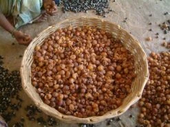 Wasnoten 750gr Met Waszakje - Zeepnoten - Natuurlijk Wassen -Thuis Wassen 1200x900