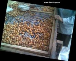 Wasnoten 3kg Met 4 Waszakjes - Zeepnoten - Natuurlijk Wassen - 4x750gr -Thuis Wassen 1200x973 3