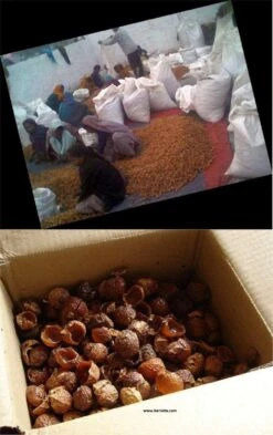 Wasnoten 3kg Met 4 Waszakjes - Zeepnoten - Natuurlijk Wassen - 4x750gr -Thuis Wassen 755x1200 3